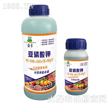 �������40-500-