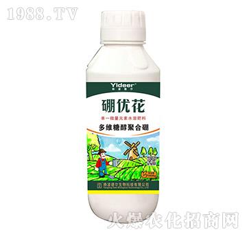 ��S�Ǵ��ۺ���-����(y��u)��