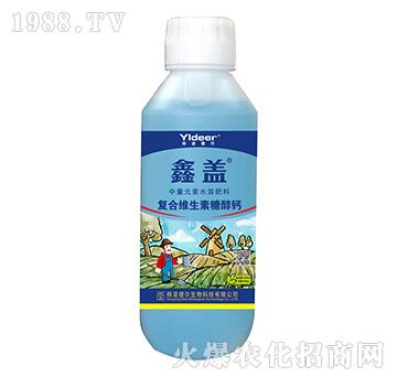 �ͺϾS�����Ǵ��}-���w