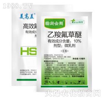 �˹���_(d��)���M��-�˹����