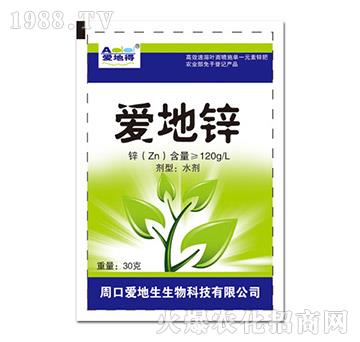 �۵��\-�۵ص�-�۵���