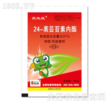 24-���|̦�؃�(n��i)��-��