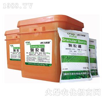 �w����-�f(w��n)�ݿ�