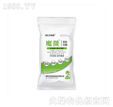 ħ΢-�f(w��n)�ݿ�