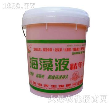 ���徫�AҺ-��������