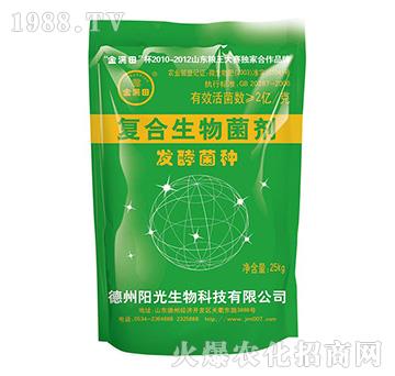 �ͺ��������-�l(f��)�;��N