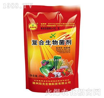 �ͺ��������-��M��-ꖹ�����