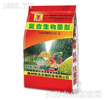 �ͺ��������-�M�ﴺ-ꖹ�����