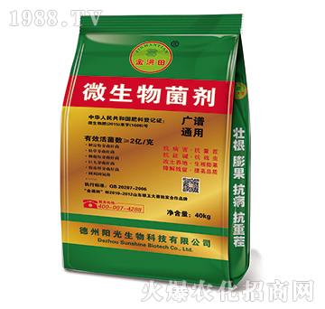 �V�Vͨ���͏ͺ��������-��M��-ꖹ�����