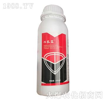 480��ÿ��������-���r��-�W�ρ�