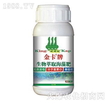 ������ȡ�����-��-