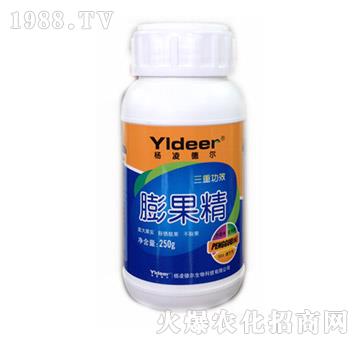 �����-� �����