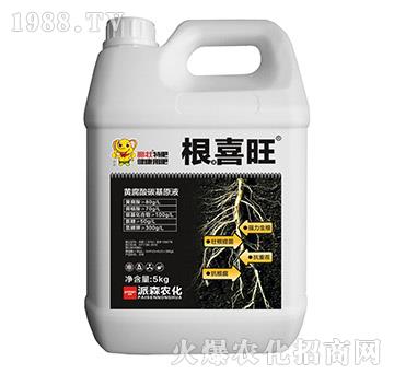 �S����̼��ԭҺ-��ϲ��