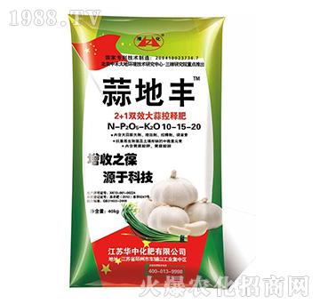 2+1�pЧ�����ጷ�-