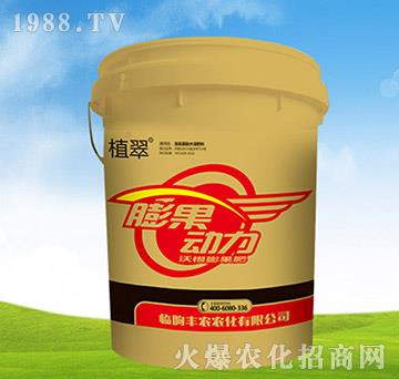 �������-ֲ��-�S�r�r��