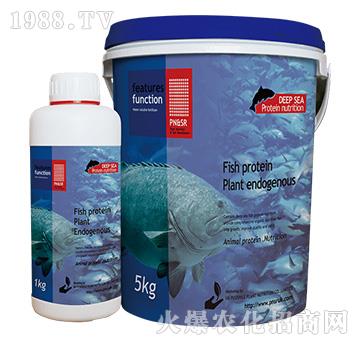 �����ˡ�С�������~(y��)���׷�-�(y��ng)��G��