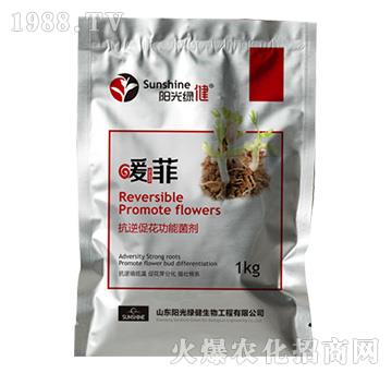 ����ٻ����ܾ���-ů��-�(y��ng)��G��