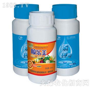 ������+��⛎�-�G��֮��