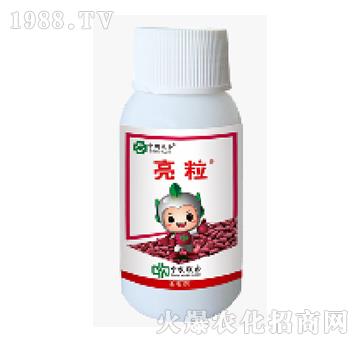 600��ÿ�����x(ch��ng)��-����-���r(n��ng)(li��n)��