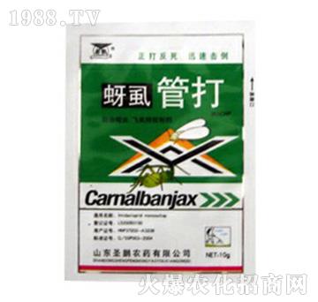 ��ʭ�ܴ�-ʥ�i