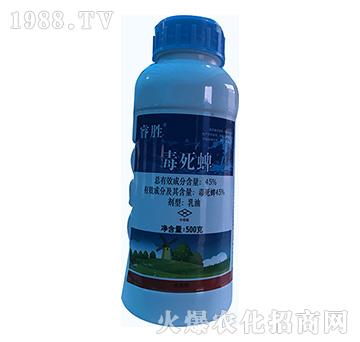 45%������-�-�\(y��n)ʢ����