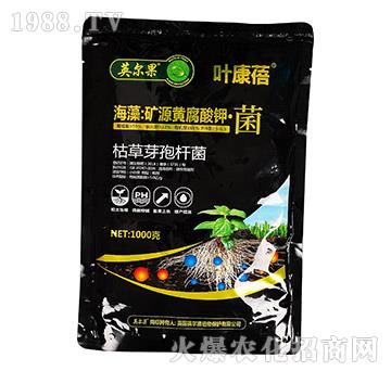 海藻礦源黃腐酸鉀·菌-葉康蓓-英爾果