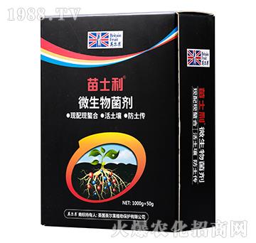 ΢�������-������-Ӣ����