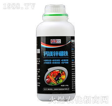 �}�V�\���F-Ӣ����