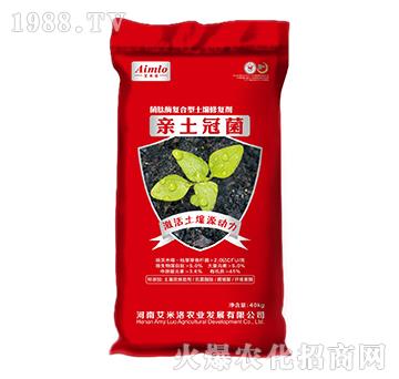 ����ø�ͺ��������ޏ̈́�-�H���ھ�-������