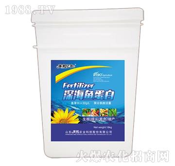 ��~(y��)����-Ӣ��