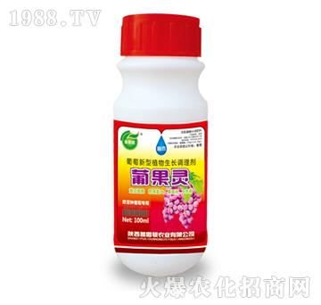 ��������ֲ�����L�{(di��o)�턩