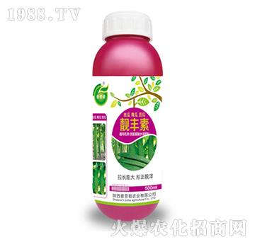 �n�S��-��˼�D�r(n��ng)�I(y��)