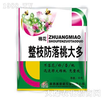 �޻���֦�����Ҵ��-��