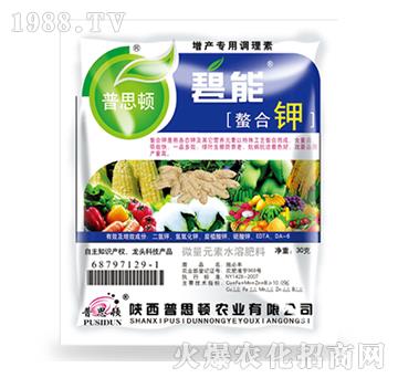 �����-����-��˼�D�r�I(y��)