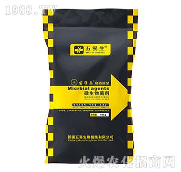 ��ֲ����΢�������-��ʘ�-������