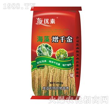 ������ǧ��-�S������