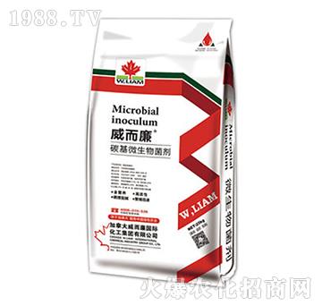 ̼��΢�������-������