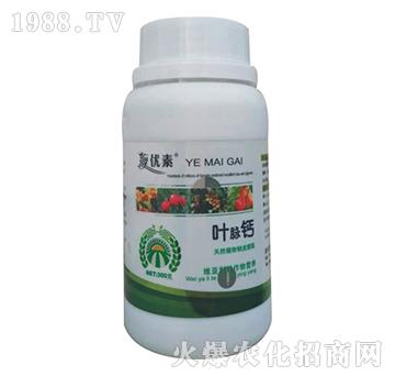 �~�}�}-�S������