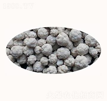 �����{(di��o)���}-����ʘI(y��)