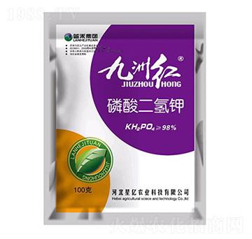 ��������-���ݼt-��