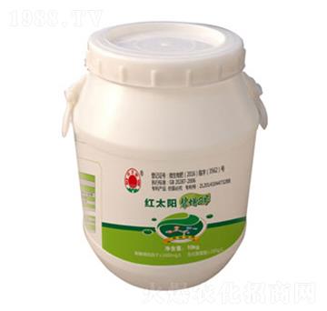 ����2̖�~���-�ư�