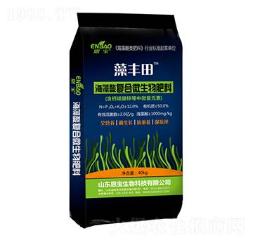 ������ͺ�΢�����-���S��-����