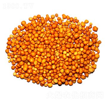 ����n�w����ጷ�15-