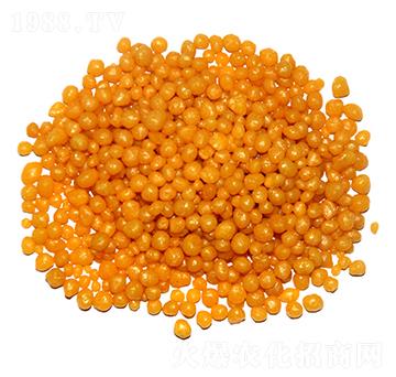 ��֬���¶��@���w����1