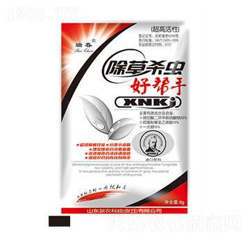 ���ݚ��x(ch��ng)�Î���-��-���r(n��ng)