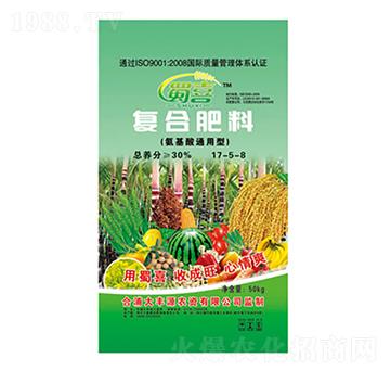 ������ͨ���͏ͺϷ���17-5-8-����