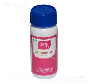 Һ�f-���a(b��)-ïʩ