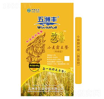 ������С��������-����