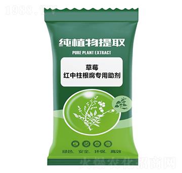 ��ݮ�t����������(zhu��n)������-ǧ���