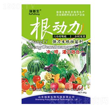 ����(d��ng)��-��������